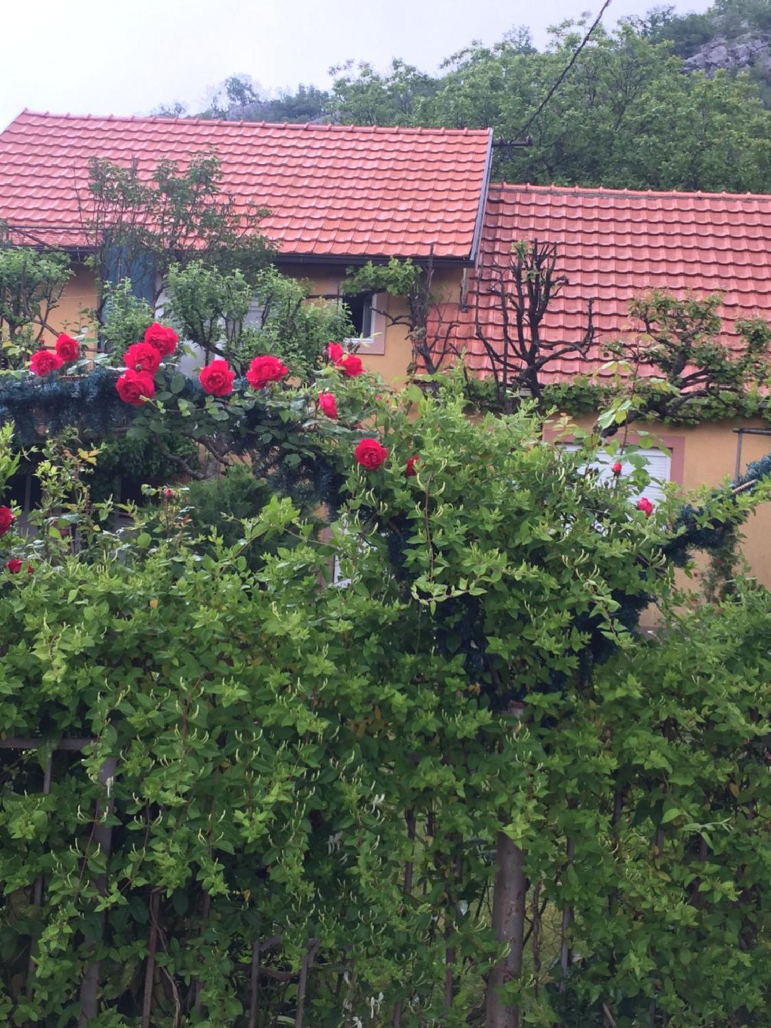 Apartman Lili Τσέτινιε Εξωτερικό φωτογραφία